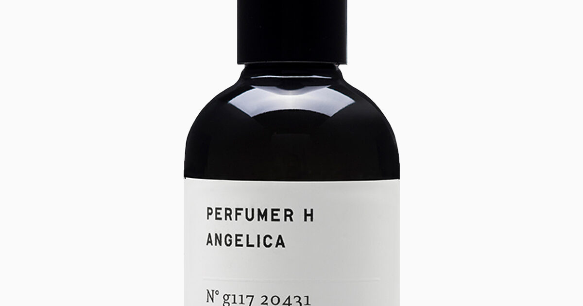 ANGELICA.jpg?mtime=1681831850