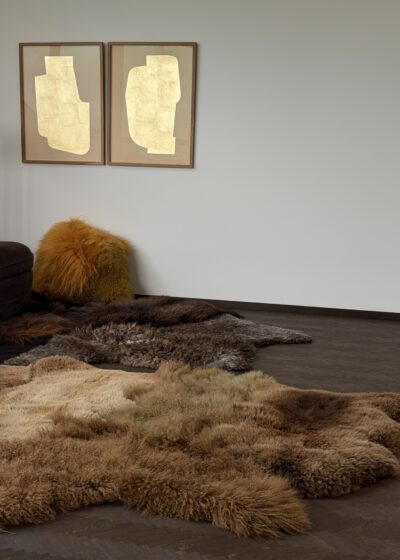 Rug 'Fire Horse' by Carine Boxy