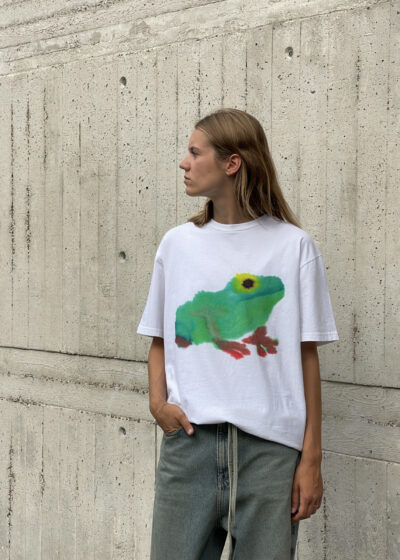 'Adult T' frog by Wild Animals
